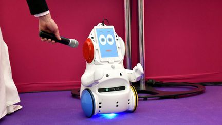  (Le robot Buddy devrait coûter entre 500 et 1000 euros. © Maxppp)