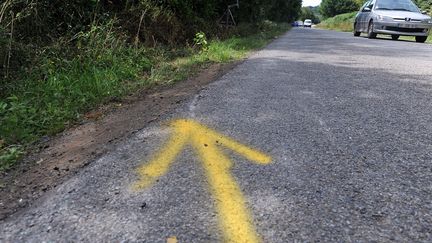 La fl&egrave;che jaune indiquant la sortie de route de la fourgonnette &agrave; Rohan, o&ugrave; un accident a fait quatre morts, tous mineurs, dans la nuit du samedi 1er au dimanche 2 ao&ucirc;t. (FRED TANNEAU / AFP)