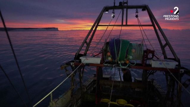 Brexit La Peche Un Enjeu Crucial Entre L Europe Et Le Royaume Uni