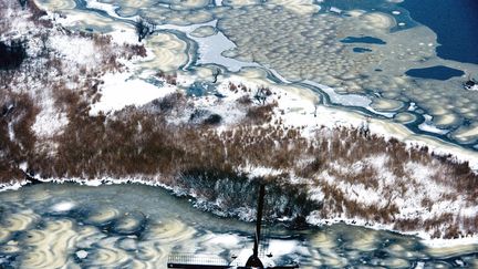 Paysage enneig&eacute; autour d'un moulin &agrave; Kinderdijk (Pays-Bas), le 16 janvier 2013. (ROBIN UTRECHT / AFP)