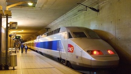 La gare TGV de Massy en région parisienne. (photo d'illustration)&nbsp; (FRANCOIS RENAULT / PHOTONONSTOP)