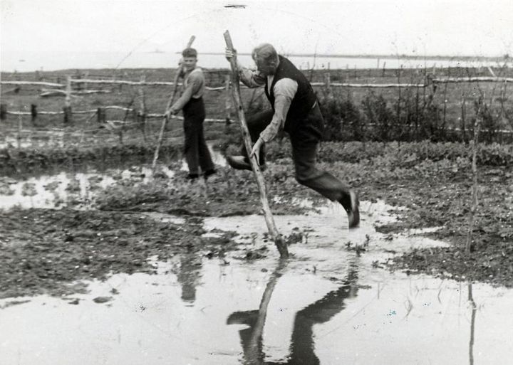 Un paysan saute au-dessus d'une flaque avec un b&acirc;ton de bois dans un champ, &agrave; Huizen (Pays-Bas), en 1938. (NATIONAAL ARCHIEF / FLICKR)