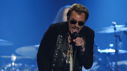 Johnny Hallyday en concert à La Rochelle en juillet 2015 (archives)
 (XAVIER LEOTY / AFP)