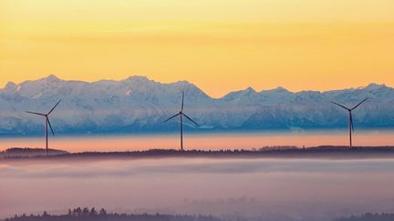 Des éoliennes à Uttenweiler, en Allemagne, le 17 décembre 2023. (THOMAS WARNACK / DPA / AFP)