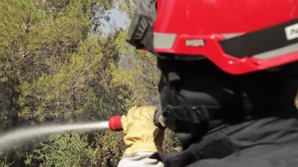 Pyrénées-Orientales : un incendie destructeur ravage près de 1100 hectares