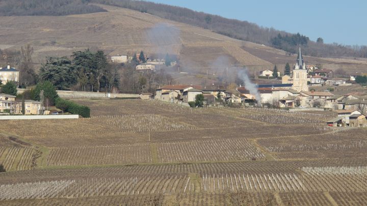 Exploitants viticoles ind&eacute;pendants, retrait&eacute;s, commer&ccedil;ants, nombre de villages en Beaujolais ont pl&eacute;biscit&eacute; Nicolas Sarkozy en 2007.&nbsp; (SALOME LEGRAND / FVTI)