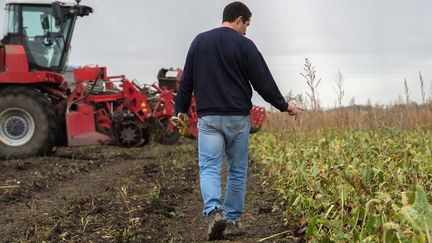 Pesticides : la volte-face du gouvernement