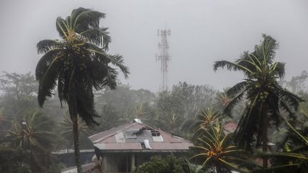 Un toit en partie envolé à cause de l'ouragan Eta, dans la municipalité de Puerto Cabezas (Nicaragua), le 3 novembre 2020. (INTI OCON / AFP)