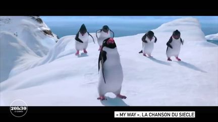 VIDEO. Comment la chanson "Comme d'habitude" est devenue un tube planétaire qui existe même... en version pingouin