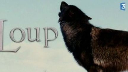 &quot;Loup&quot;, du livre au film par Nicolas Vanier
 (Culturebox)