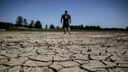 Une mare asséchée à Joyeux (Ain), le 11 août 2023. (JEFF PACHOUD / AFP)