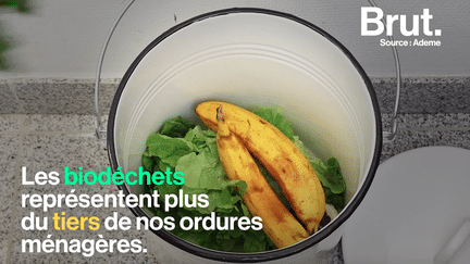 brut : biodechets