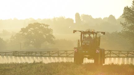 Eurozapping : les agriculteurs hollandais en colère