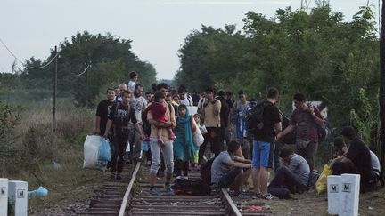 Des migrants le long de la fronti&egrave;re serbo-hongroise, pr&egrave;s du village d'Asotthalom, le 24 ao&ucirc;t 2015.&nbsp; (CSABA SEGESVARI / AFP)