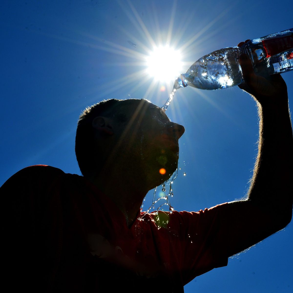 Canicule Pourquoi Certains Resistent Ils Mieux A La Chaleur