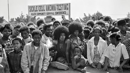 Le 31 mars 1972, à Oakland (Californie, États-Unis), lors d'une campagne de dépistage de la drépanocytose du Black Panther Party (BPP). Entre 1971 et 1973, 500 000 personnes ont ainsi été testées à travers les États-Unis. Les programmes de santé du BPP comprenaient des cliniques médicales gratuites et un service d'ambulance gratuit. (STEPHEN SHAMES)