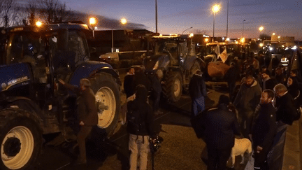 Colère des agriculteurs : les annonces sont-elles suffisantes ? (France info)