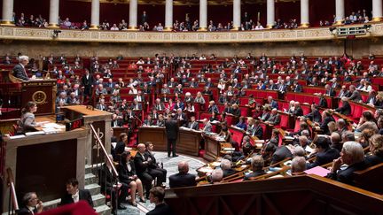 Les d&eacute;put&eacute;s sont r&eacute;unis dans l'h&eacute;micycle de l'Assembl&eacute;e nationale, le 10 mars 2015, lors des questions au gouvernement.&nbsp; (  MAXPPP)