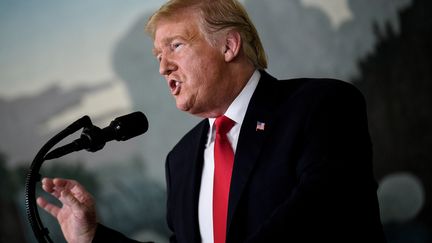 Le président américain Donald Trump, le 19 janvier 2019 à la Maison Blanche à Washington (Etats-Unis). (BRENDAN SMIALOWSKI / AFP)