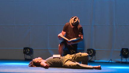 Extrait du spectacle "BiblioTEK" du Cirque du Grand Lyon à Vaulx-en-Velin.&nbsp; (France 3 Rhône-Alpes)