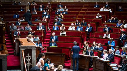 L'Assemblée nationale lors d'une séance de questions au gouvernement au Palais-Bourbon, le 11 juillet 2023, à Paris. (XOSE BOUZAS / HANS LUCAS / AFP)