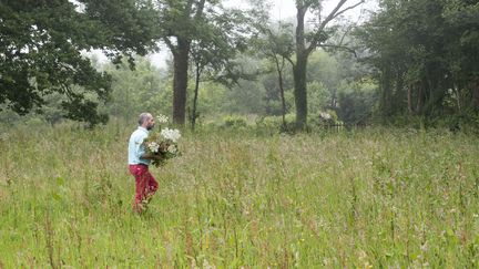 Stéphane Pennetier en pleine cueillette, à la fraîche, de fleurs des champs.&nbsp; (PASCALINE NOACK / ISABELLE MORAND / RADIO FRANCE / FRANCE INFO)