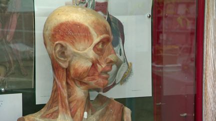 Exposition "Les impasses de la médecine" à la bibliiothèque de Toulouse (France 3 Occitanie)