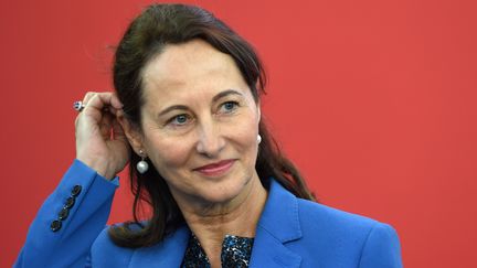 S&eacute;gol&egrave;ne Royal, ministre de l'Ecologie, &agrave; Lyon (Rh&ocirc;ne), le 2 d&eacute;cembre 2014. (PHILIPPE DESMAZES / AFP)