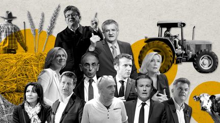 Produire plus ou produire mieux ? Les candidats à l'élection présidentielle déclinent leurs propositions sur l'agriculture, un secteur fortement déstabilisé par la guerre en Ukraine. (ELLEN LOZON / FRANCEINFO)