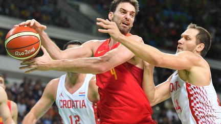 Pau Gasol et Bojan Bogdanović  (ANDREJ ISAKOVIC / POOL)