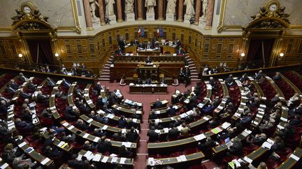 Le Sénat réuni vendredi 20 novembre au Palais du Luxembourg à Paris. (ALAIN JOCARD / AFP)