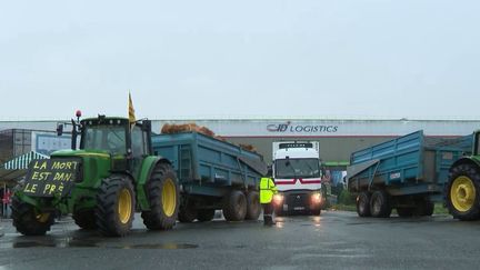 La mobilisation continue chez les agriculteurs savoyards. Lancées par les syndicats, des action coups de poing pointent la concurrence des produits étrangers. (France 2)