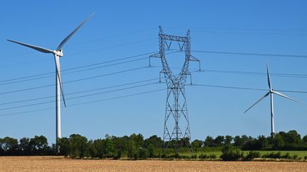 Un parc éolien en centre Bretagne avec une ligne à haute tension passant à proximité, dans les Côtes-d'Armor. (ANTOINE LORGNIER / BIOSPHOTO / AFP)