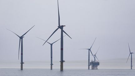 Le premier parc d'éoliennes en mer en France au large de Saint-Nazaire (Loire-Atlantique), le 13 août 2022. (CAROLINE PAUX / HANS LUCAS / AFP)