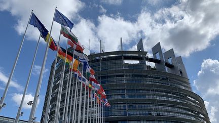 Le Parlement européen à Strasbourg. Photo d'illustration. (JULIEN PASQUALINI / FRANCE-INFO / RADIO FRANCE)