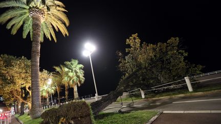 Un arbre s'est couché sur la Promenade des Anglais à Nice (Alpes-Maritimes), après le passage de la tempête Eleanor, le 3 janvier 2018. (VALERY HACHE / AFP)