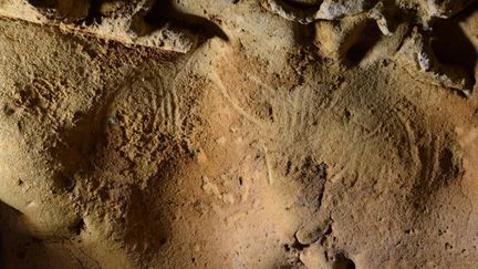 Le "panneau circulaire" (tracés en forme d'ogive) et le "panneau ondulé" (deux tracés contigus) découverts dans une grotte de Langeais. (J.-C MARQUET)