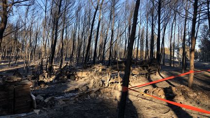 Images de désolation à Martigues (Bouches-du-Rhône) après les incendies, le 6 août 2020. (NOEMIE BONNIN / RADIO FRANCE)