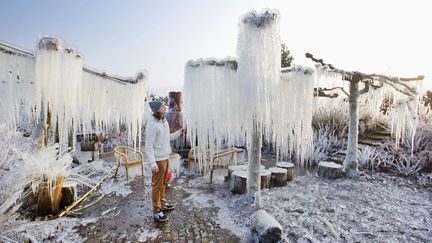 Afin de prot&eacute;ger les bourgeons du froid, les plantes de cette p&eacute;pini&egrave;re sont asperg&eacute;es d'eau. Le gel qui les entoure les pr&eacute;serve ainsi des tr&egrave;s basses temp&eacute;ratures, Heerhugowaard (Pays-Bas), le 23 f&eacute;vrier&nbsp;2013. (UNITED PHOTOS / REUTERS)