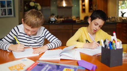 L'utilit&eacute; du travail &agrave; la maison est contest&eacute;e par la FCPE et certains enseignants.&nbsp; (MILLY K. / IMAGE SOURCE / AFP)