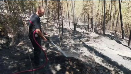 Samedi 9 juillet, le Gard est sous haute surveillance pour prévenir les forts risques d’incendies qui perdurent. Véronique&nbsp;Gaglione&nbsp;est à&nbsp;Bessèges&nbsp;(Gard)&nbsp;pour faire un point sur la situation. (FRANCE 2)