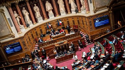 L'hémicycle du Sénat, à Paris, le 12 avril 2023. (XOSE BOUZAS / HANS LUCAS)