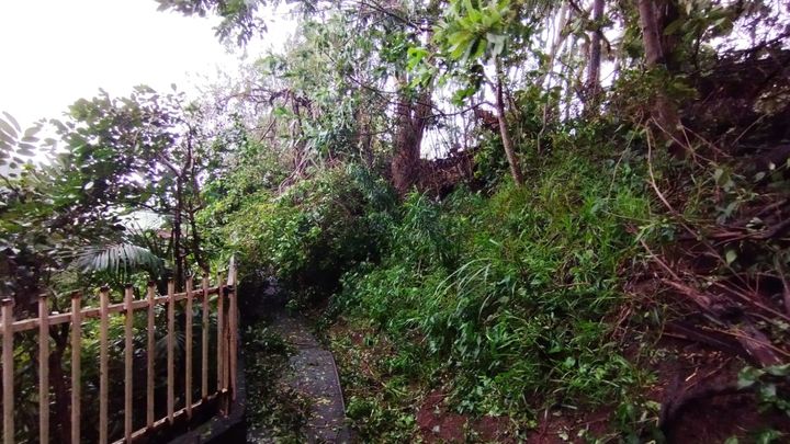 Des habitations ont subi des dégâts sur l'île de La Réunion après le passage du cyclone Belal, en janvier 2024. (LOLA FOURMY / RADIOFRANCE)