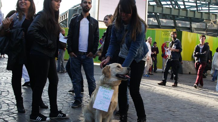 Le chien d'Ezgi transform&eacute; en porte-&eacute;tendard pour l'occasion. (MARIE DESHAYES / FRANCETV INFO)