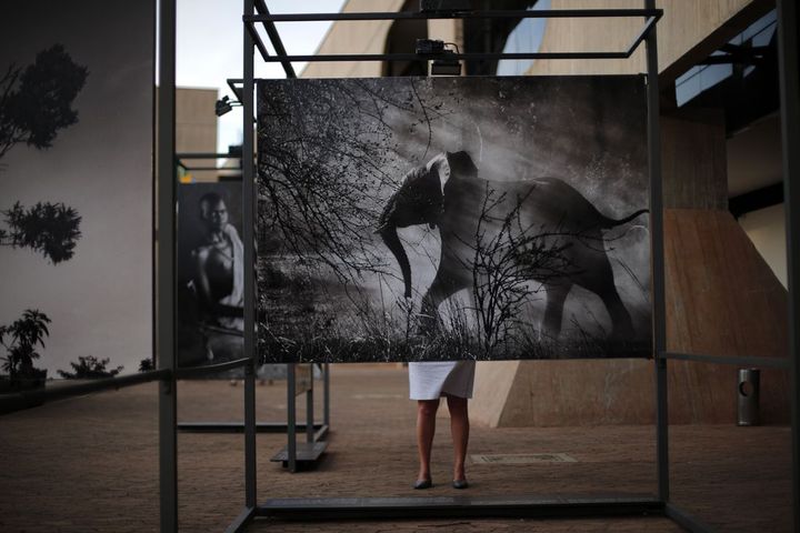 Exposition «Sebastiao Salgado: Genesis» à Brasilia en 2014. (Ueslei MARCELINO / REUTERS)