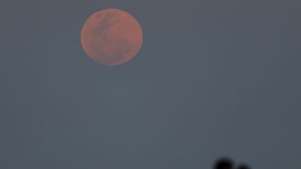 Certains ont profit&eacute; de cet &eacute;v&eacute;nement tr&egrave;s rare, qu'on ne reverra pas avant 2033, pour marquer le coup de fa&ccedil;on romantique, comme ici &agrave; Rio de La Plata (Argentine). (ENRIQUE MARCARIAN / REUTERS)