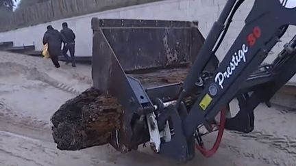 Un v&eacute;hicule d&eacute;place un tronc d'arbe &eacute;chou&eacute; sur une plage de La-Couarde-sur-Mer (Charente-Maritime), le 7 janvier 2014. (FRANCE 2 / FRANCETV INFO)