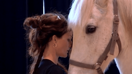 &quot;Le Bal des Chevaux&quot; à Lamballe
 (France 3 - Culturebox)