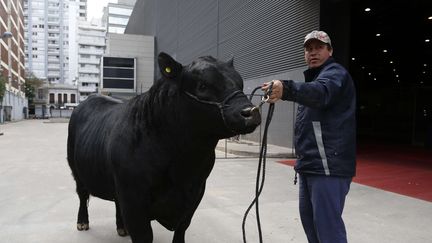 Un taureau a été nommé Mbappé, en l'honneur du joueur français, le 16 juillet 2018 à Buenos Aires (Argentine). (JORGE SAENZ / AP / SIPA)