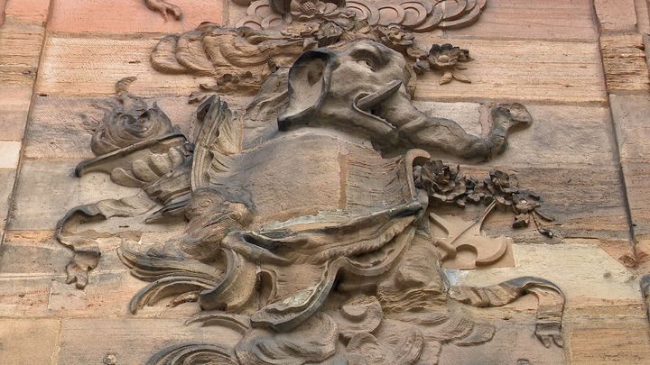 Éléphant sur le palais Rohan de Strasbourg (France 3 Alsace)